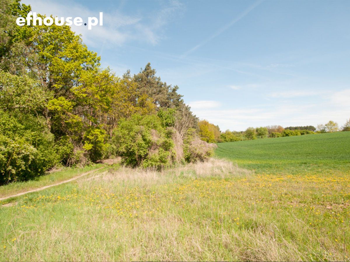 Działka rekreacyjna Wolice. Zdjęcie 10