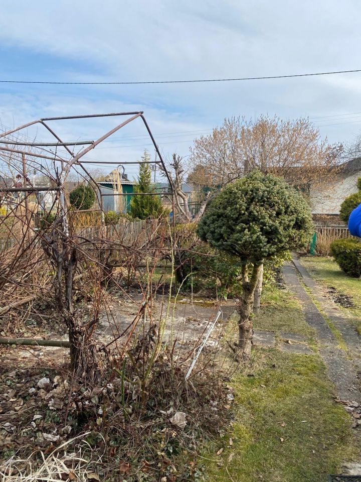 Działka rod Tychy. Zdjęcie 3