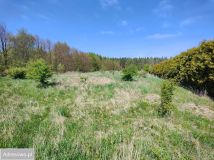 Działka budowlana Rusinowo. Zdjęcie 2