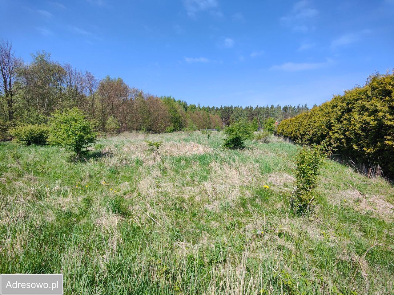 Działka budowlana Rusinowo. Zdjęcie 3