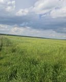 Działka budowlana Świebodzice, ul. Lawendowa