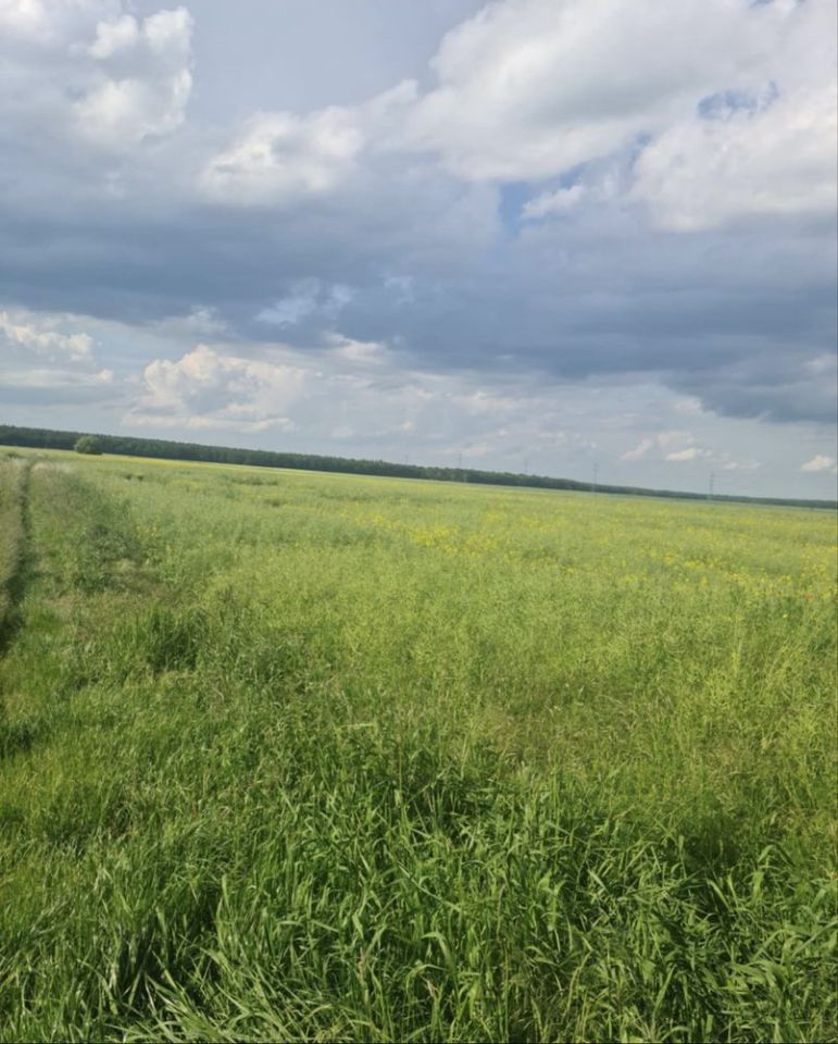 Działka budowlana Świebodzice, ul. Lawendowa