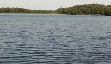 Działka rekreacyjna Lubowo