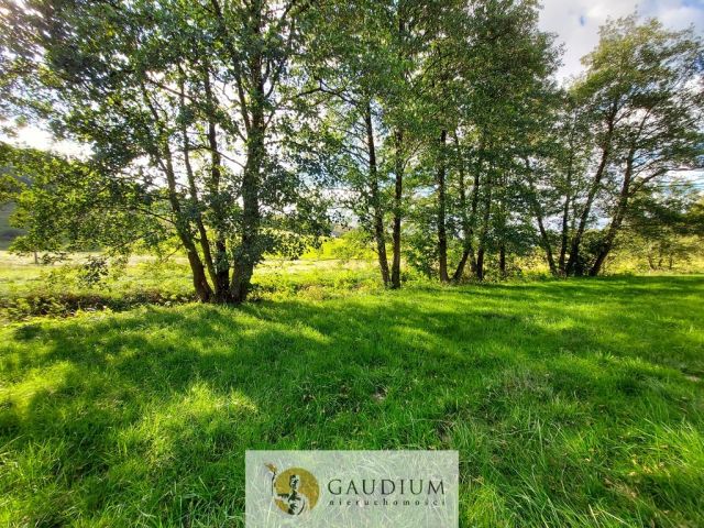 Działka Kobysewo. Zdjęcie 5