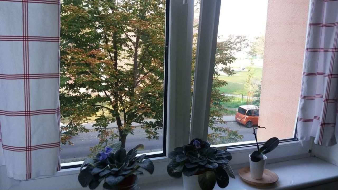 Mieszkanie 2-pokojowe Poznań Dębiec, ul. Kasztanowa. Zdjęcie 7