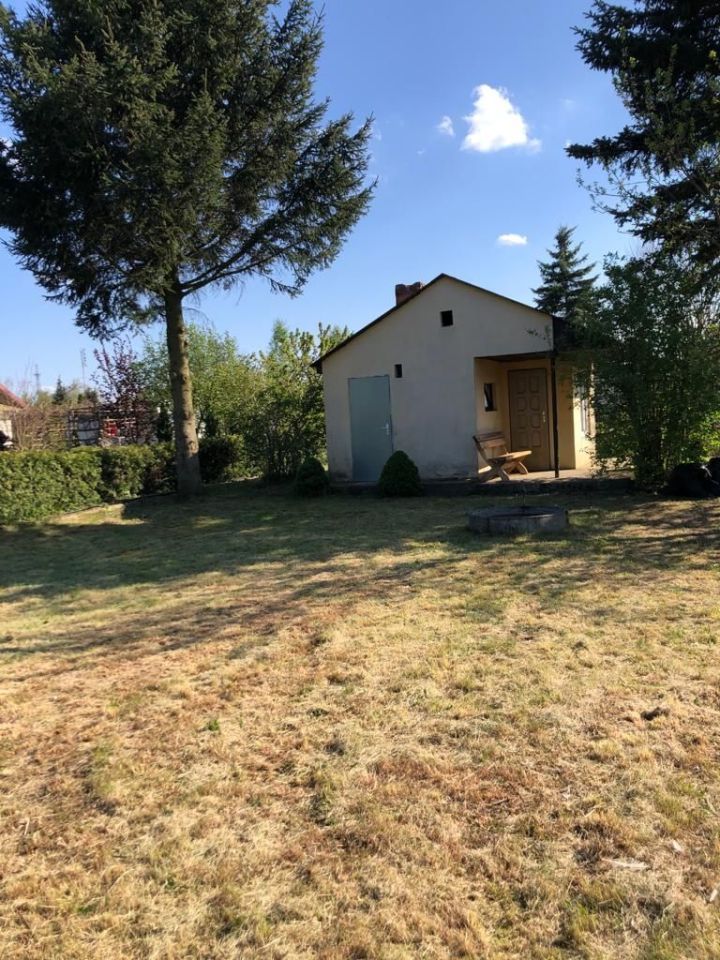 Działka rod Trzcianka. Zdjęcie 6