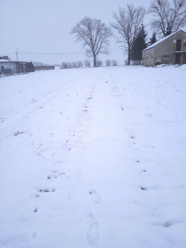 Działka budowlana Gortatowo. Zdjęcie 3