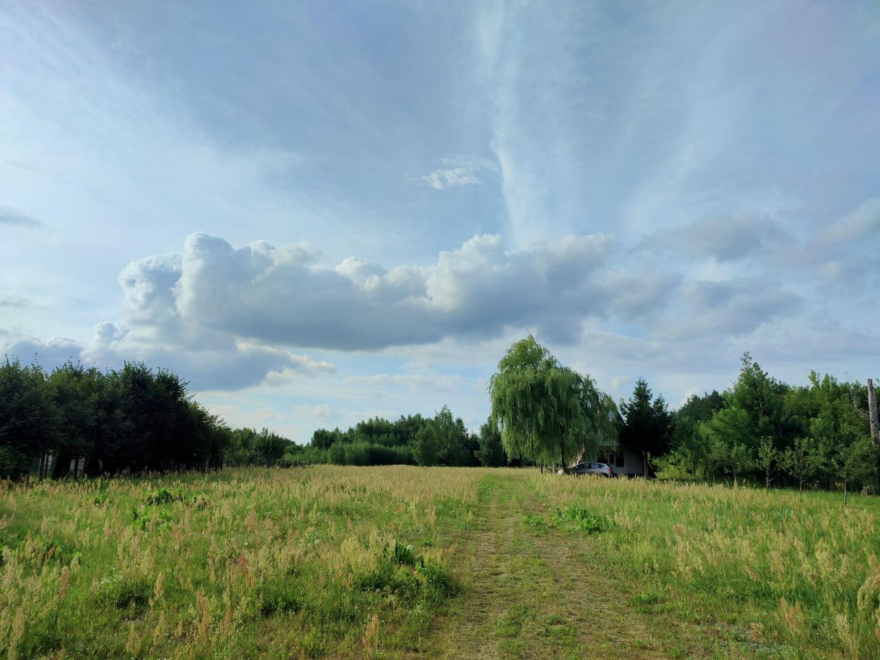 Działka rolno-budowlana Plizin