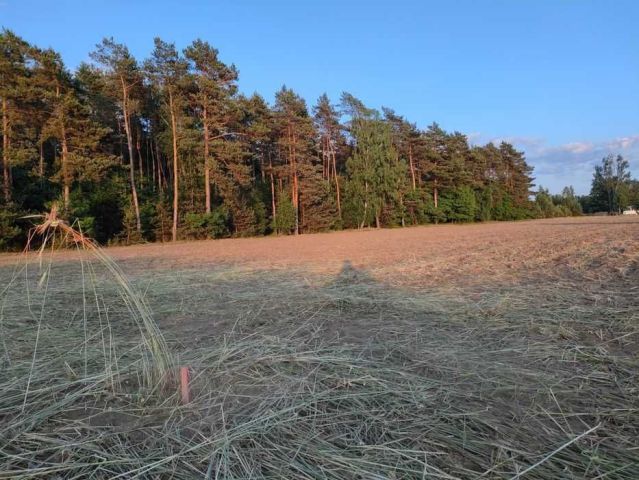 Działka budowlana Huta Bardzyńska. Zdjęcie 1