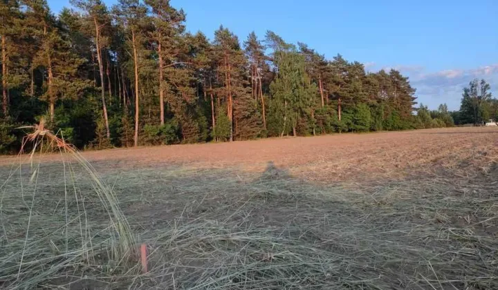 Działka budowlana Huta Bardzyńska