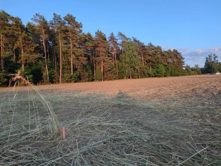 Działka budowlana Huta Bardzyńska