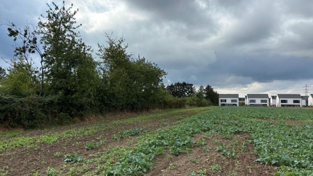 Działka inwestycyjna Wiry, ul. Kosynierów. Zdjęcie 1