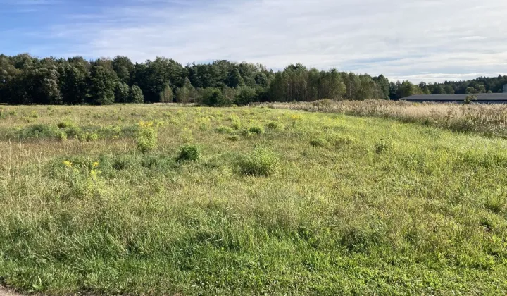 Działka inwestycyjna Orzesze Gardawice, ul. Drukarska