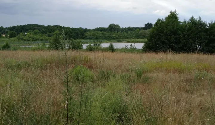 Działka budowlana Poznań Stare Miasto, ul. Umultowska