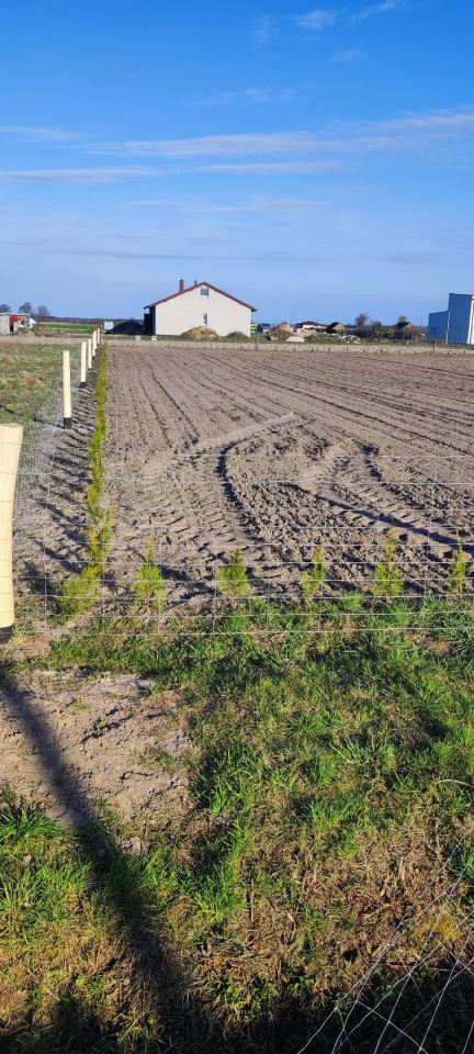 Działka budowlana Uników. Zdjęcie 8