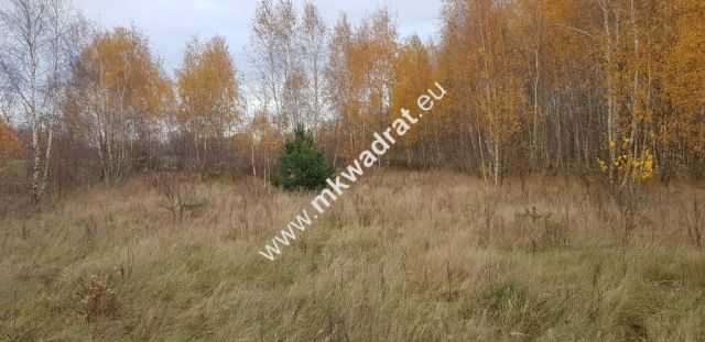 Działka budowlana Holendry Baranowskie. Zdjęcie 2