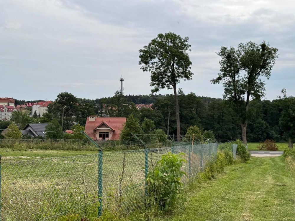 Działka budowlana Trzy Lipy. Zdjęcie 5