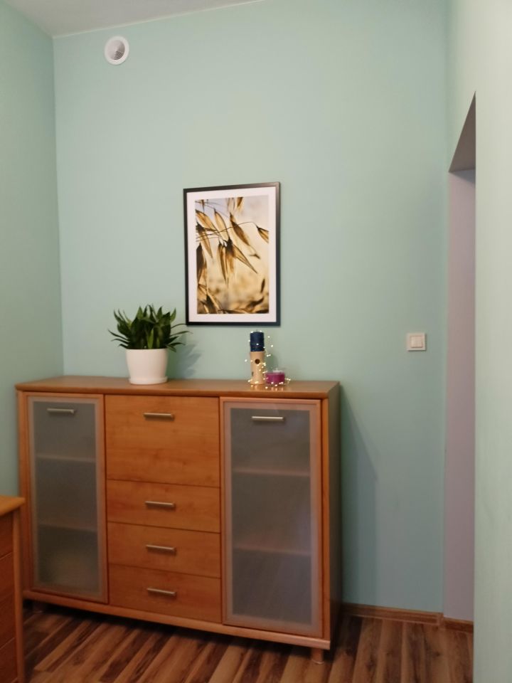 Mieszkanie 1-pokojowe Łódź Śródmieście, ul. Prezydenta Gabriela Narutowicza. Zdjęcie 6