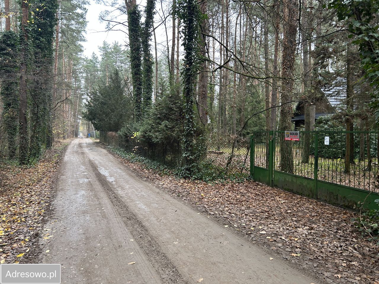 Działka leśna Adamów-Wieś, ul. Kaliny. Zdjęcie 8