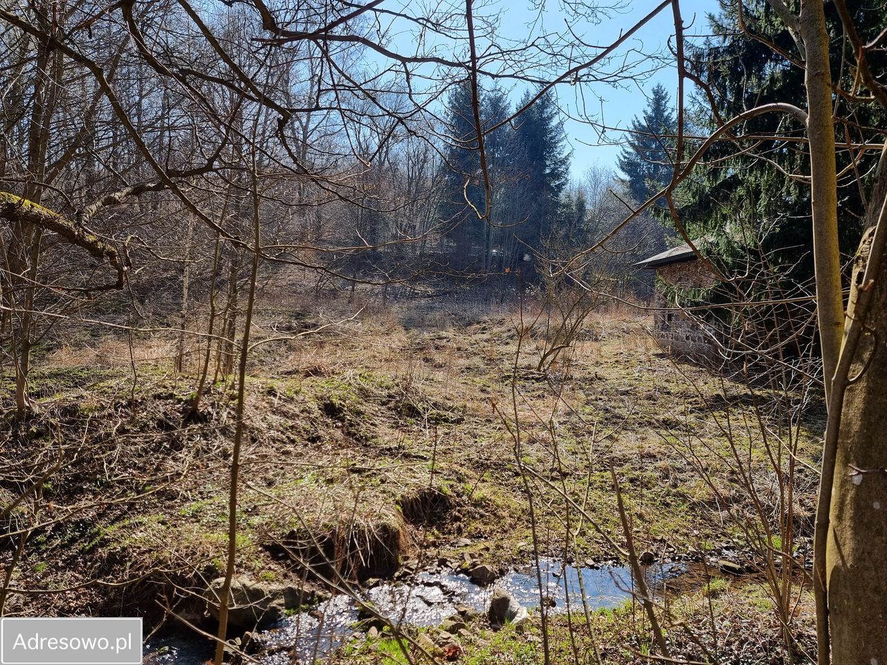 Działka siedliskowa Walim, ul. Wiejska. Zdjęcie 7