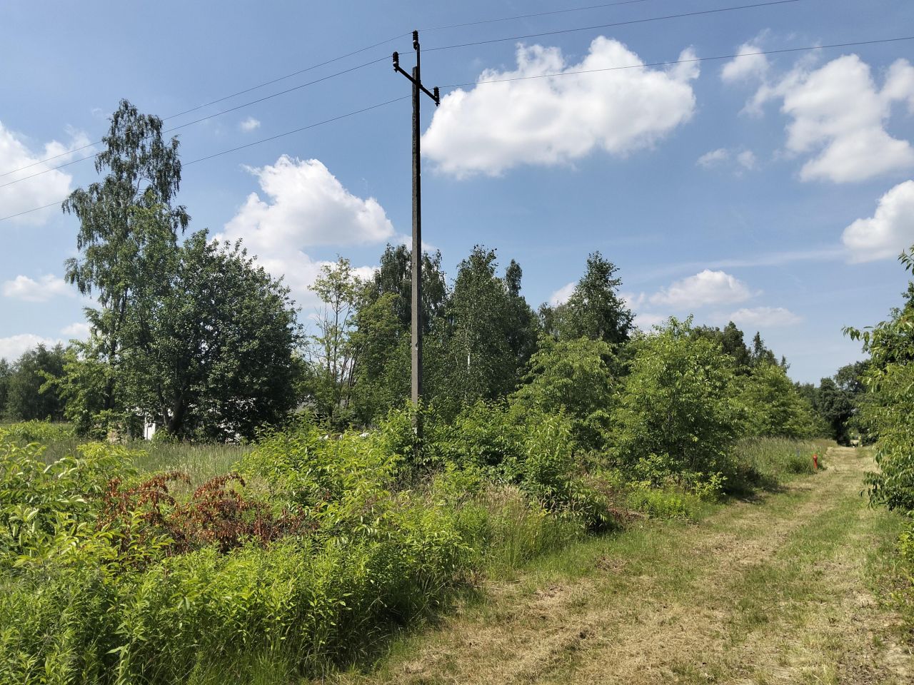 Działka budowlana Józefów, Józefów. Zdjęcie 5