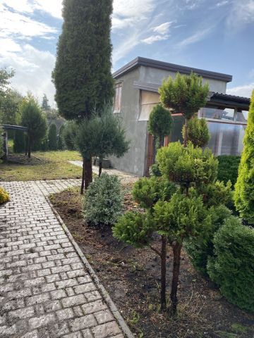 Działka rekreacyjna Bełchatów, ul. Cegielniana. Zdjęcie 1