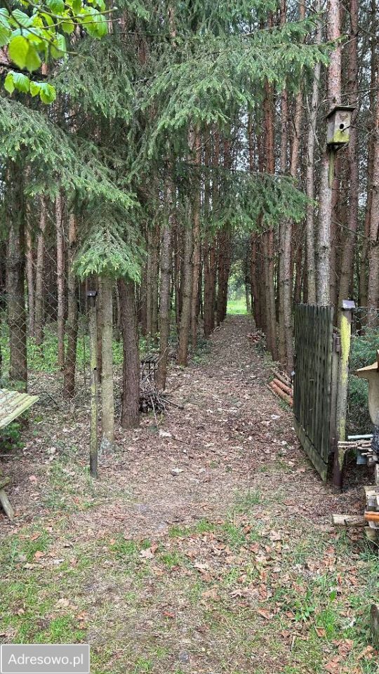 Działka budowlana Hutka. Zdjęcie 4