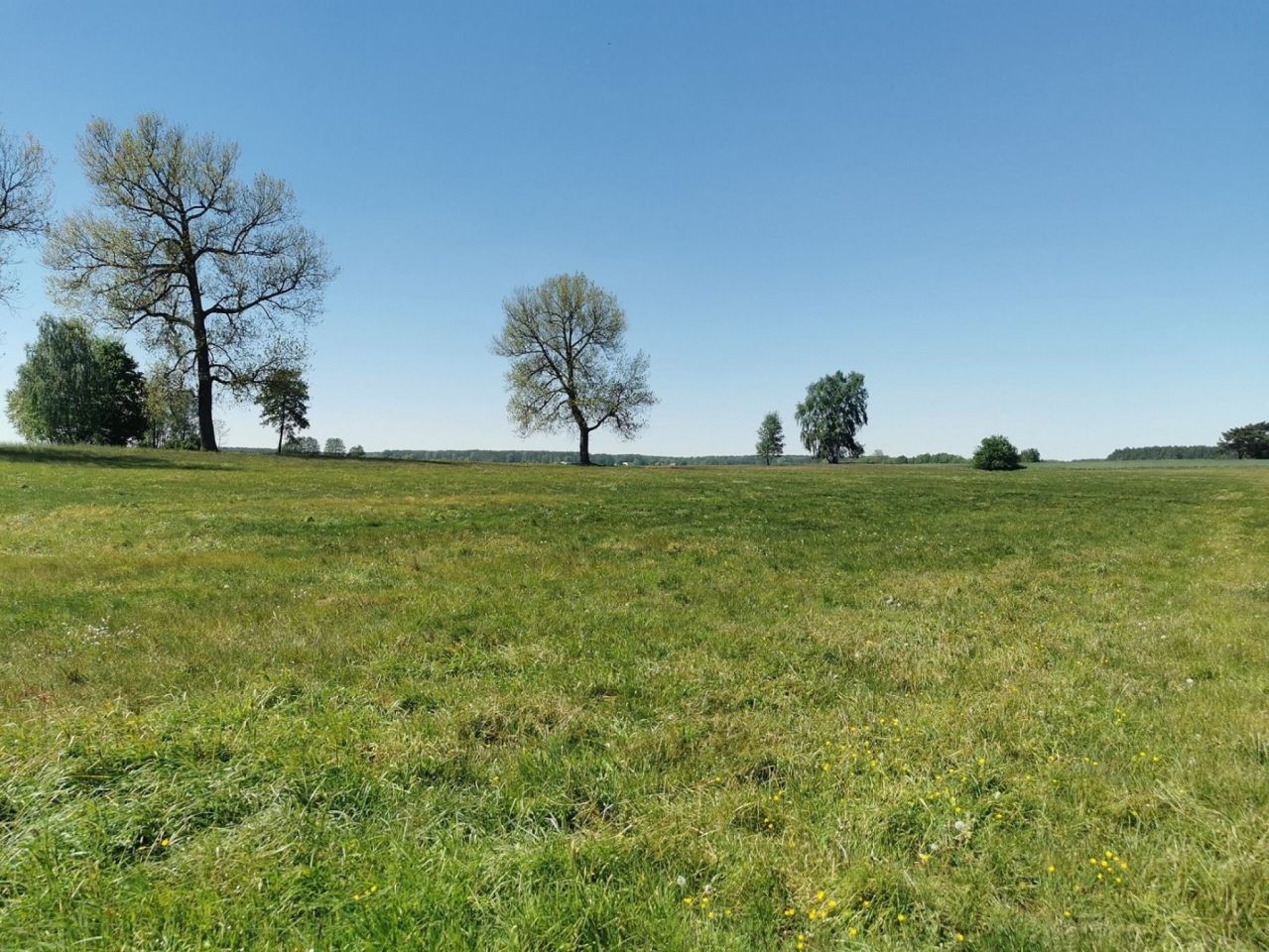 Działka rolna Święta. Zdjęcie 4