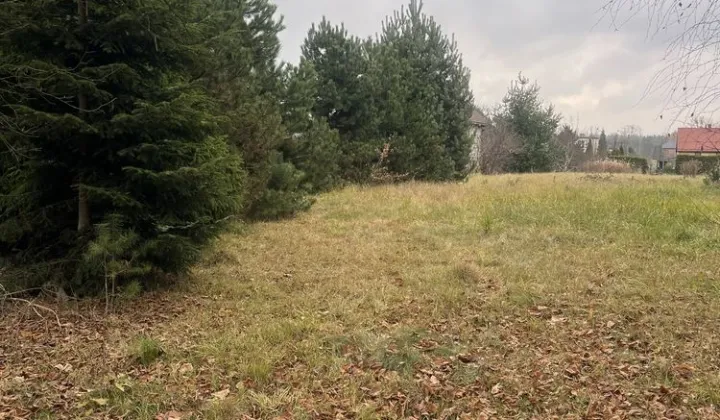 Działka budowlana Orzesze Woszczyce