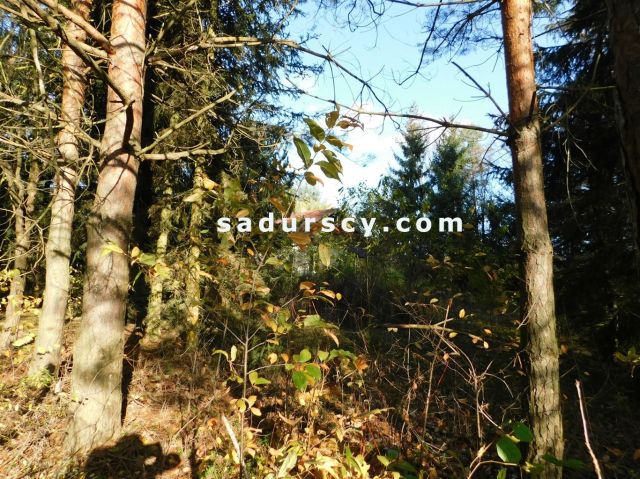 Działka budowlana Biały Ług. Zdjęcie 8