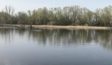 Działka na sprzedaż bez pośredników          
          
            Skuszew - Widok 5