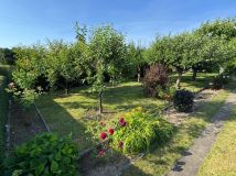 Działka rod Gniezno, ul. Biskupińska. Zdjęcie 1