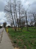 Działka rolna Bukówno Śliwiny. Zdjęcie 4
