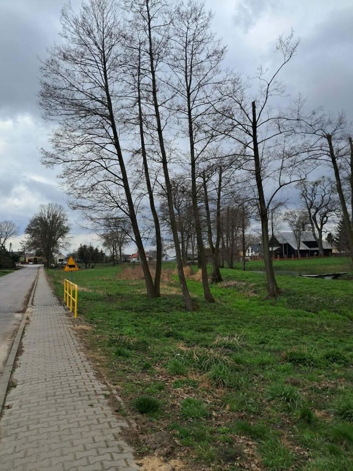 Działka rolna Bukówno Śliwiny. Zdjęcie 5