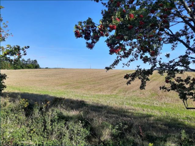 Działka budowlana Dobrzewino, ul. Łąkowa. Zdjęcie 1