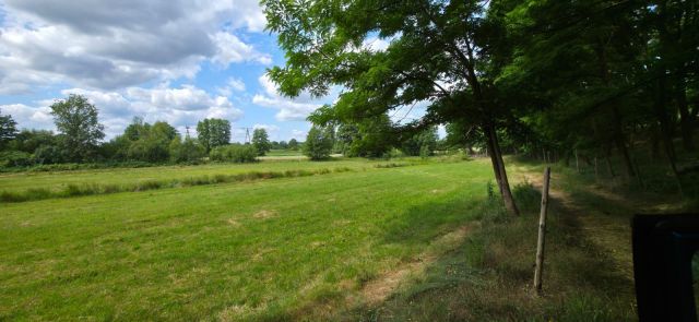 Działka rolna Leszno Górne. Zdjęcie 1