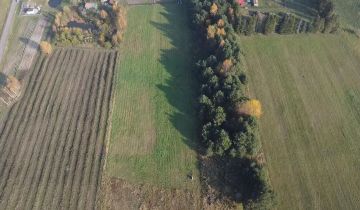 Działka rolna Wilkowo