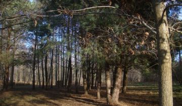 Działka budowlana Budy Zaklasztorne, ul. Lipowa/Mazowiecka