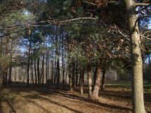 Działka budowlana Budy Zaklasztorne, ul. Lipowa. Zdjęcie 1