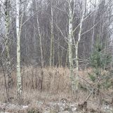 Działka budowlana Skronina. Zdjęcie 3