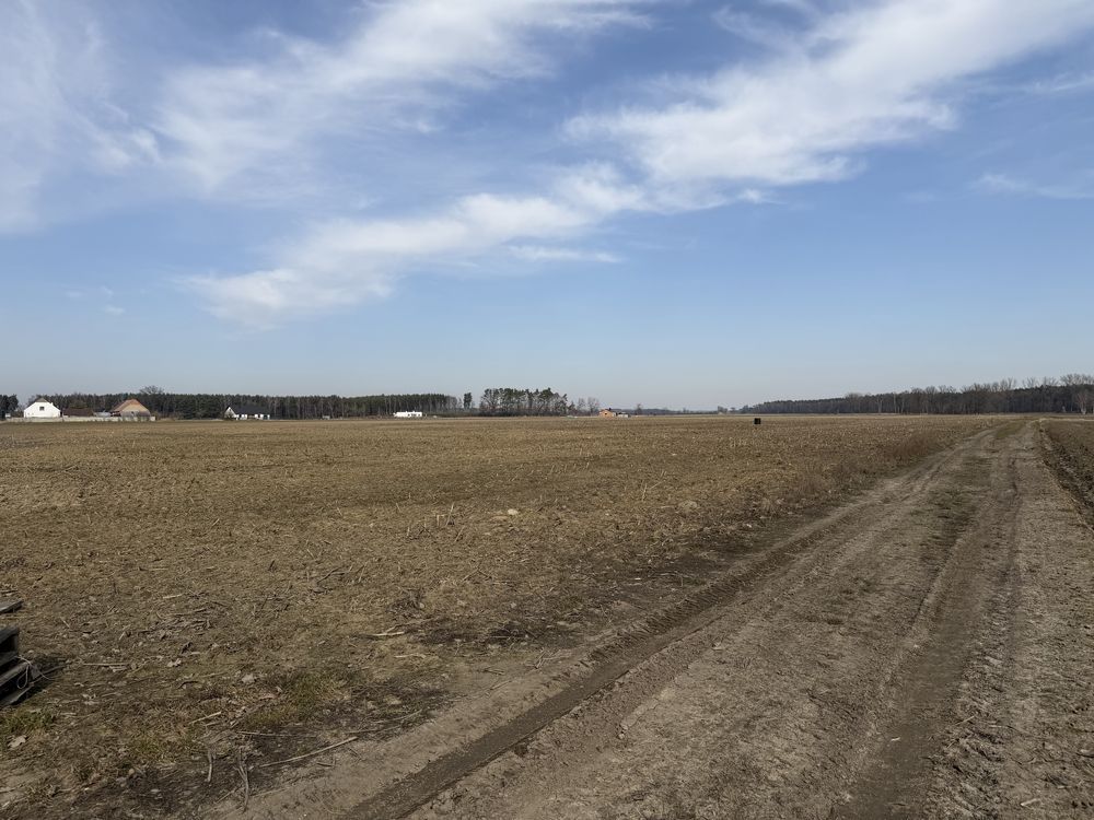 Działka budowlana Niechłód. Zdjęcie 2