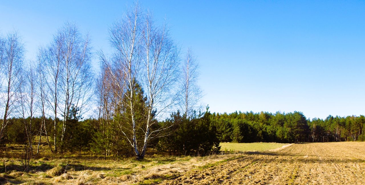 Działka rekreacyjna Lipy. Zdjęcie 1