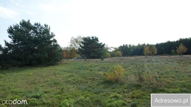 Działka siedliskowa Strzegocin. Zdjęcie 7