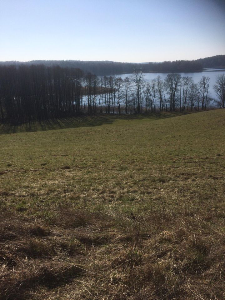 Działka rolna Tumiany. Zdjęcie 2