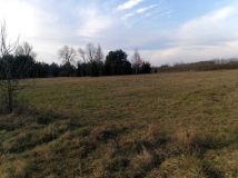 Działka budowlana Borowe. Zdjęcie 4