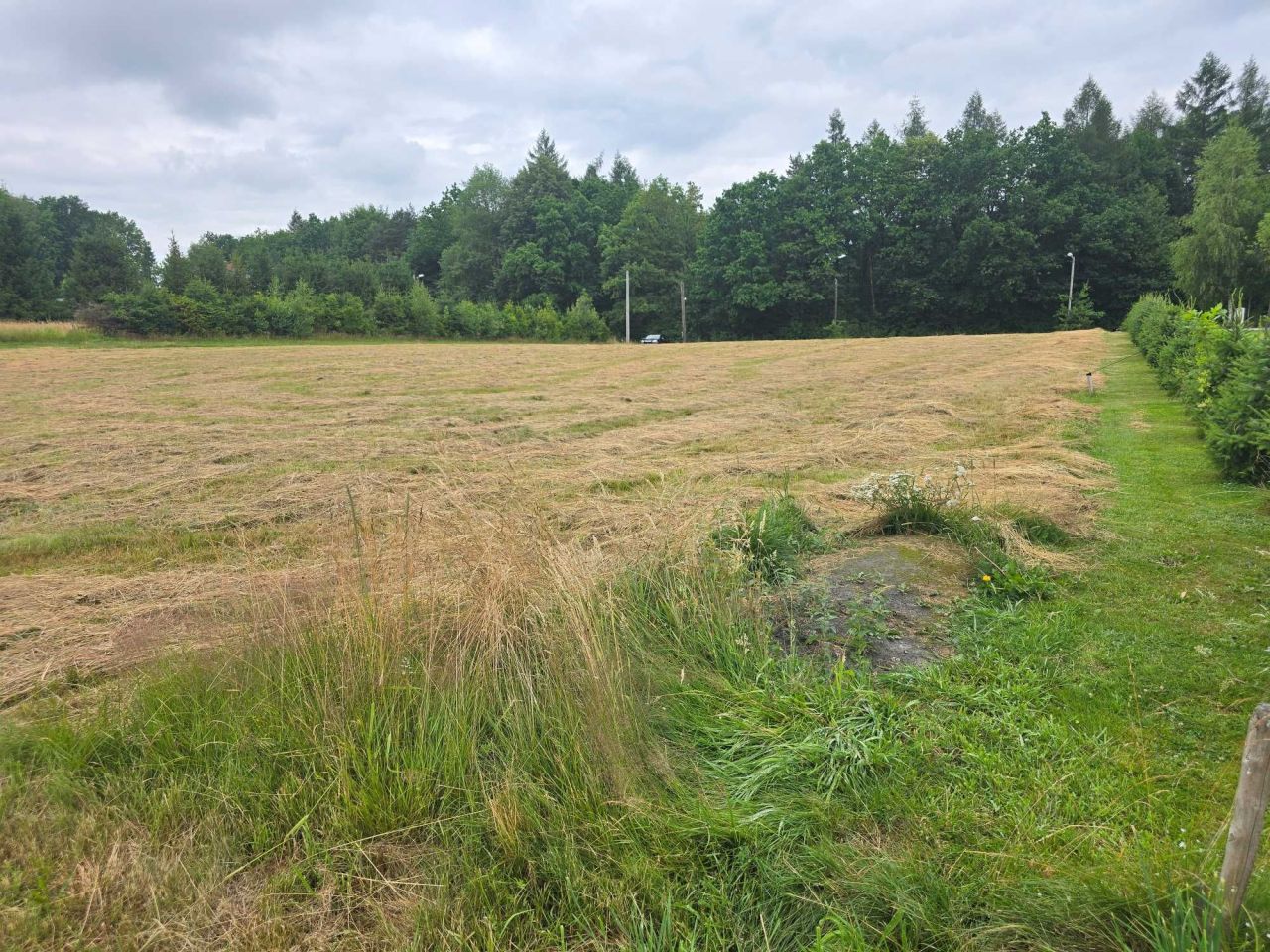 Działka budowlana Stróże. Zdjęcie 7