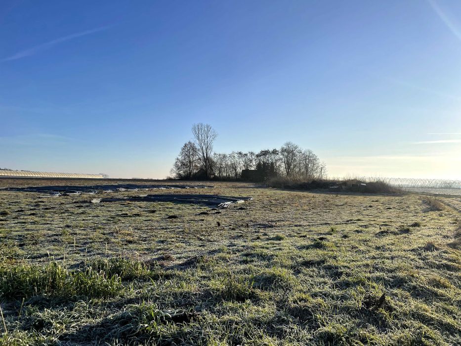 Działka siedliskowa Zaborowo. Zdjęcie 7