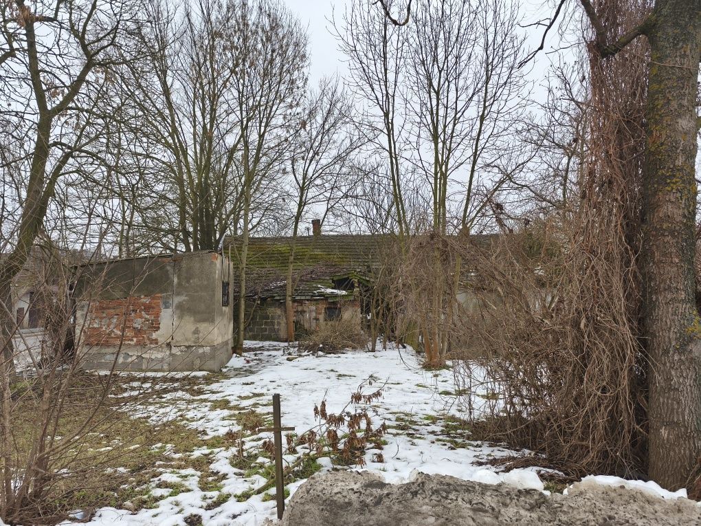 Działka inwestycyjna Borowa. Zdjęcie 8