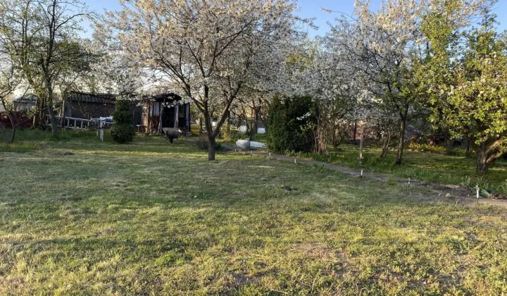 Działka rod Witkowo, ul. Dworcowa