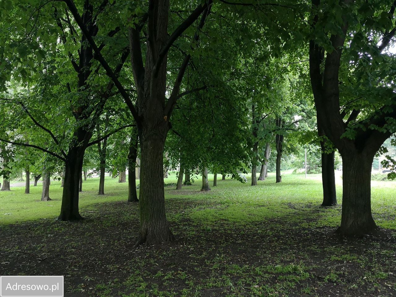 Mieszkanie 1-pokojowe Warszawa Mokotów, ul. Dworkowa. Zdjęcie 6